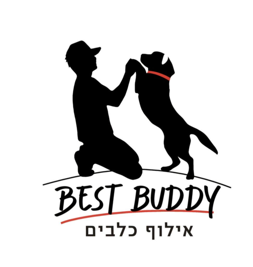 אילוף כלבים – Best Buddy יעקב הלפרין